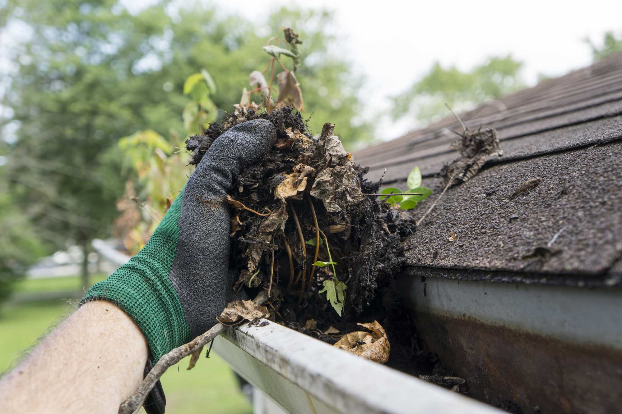 Gutters in St Louis, MO