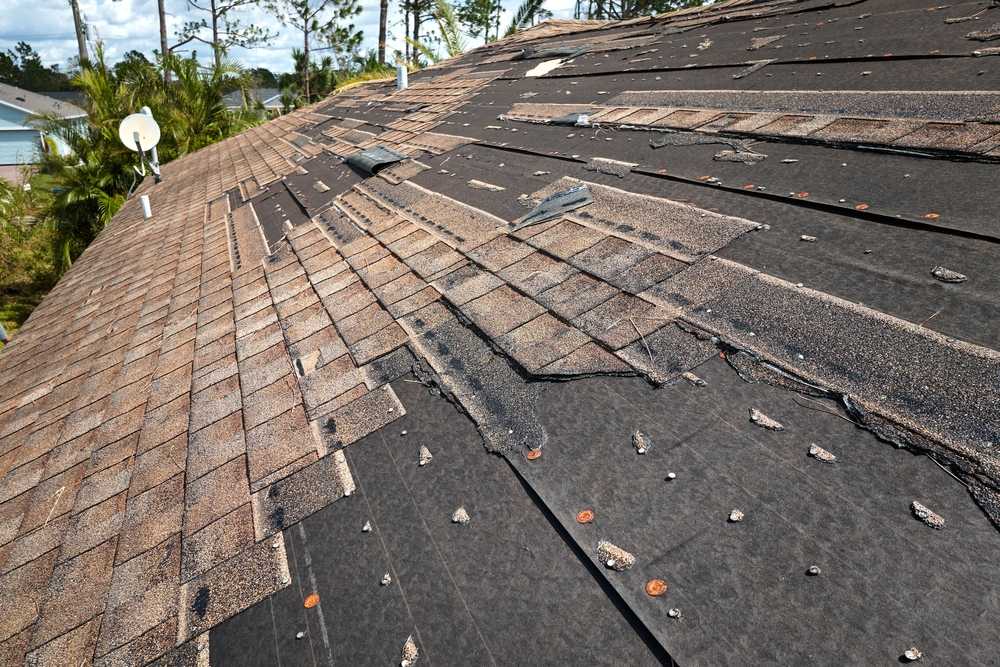 The Impact of Weather: Why Wind Damage Repair Is Crucial